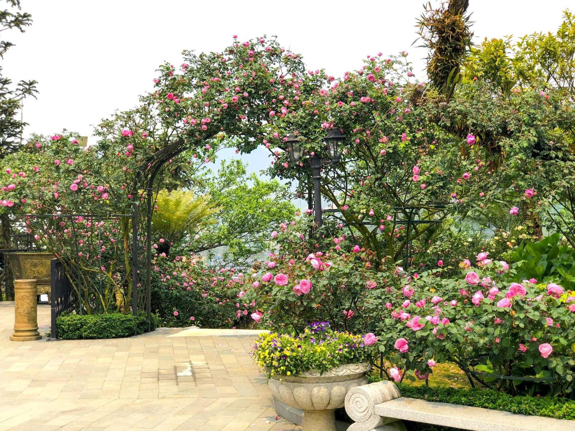 Silk Path Grand Sapa Resort & Spa מראה חיצוני תמונה Rose Garden